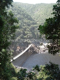 Storms River suspension bridge, Garden Route, Western Cape, South Africa
