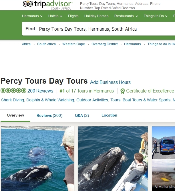 200th Review on TripAdvisor for Percy Tours, Hermanus