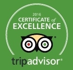 TripAdvisor 2016 Winner of Excellence by Percy Tours Hermanus