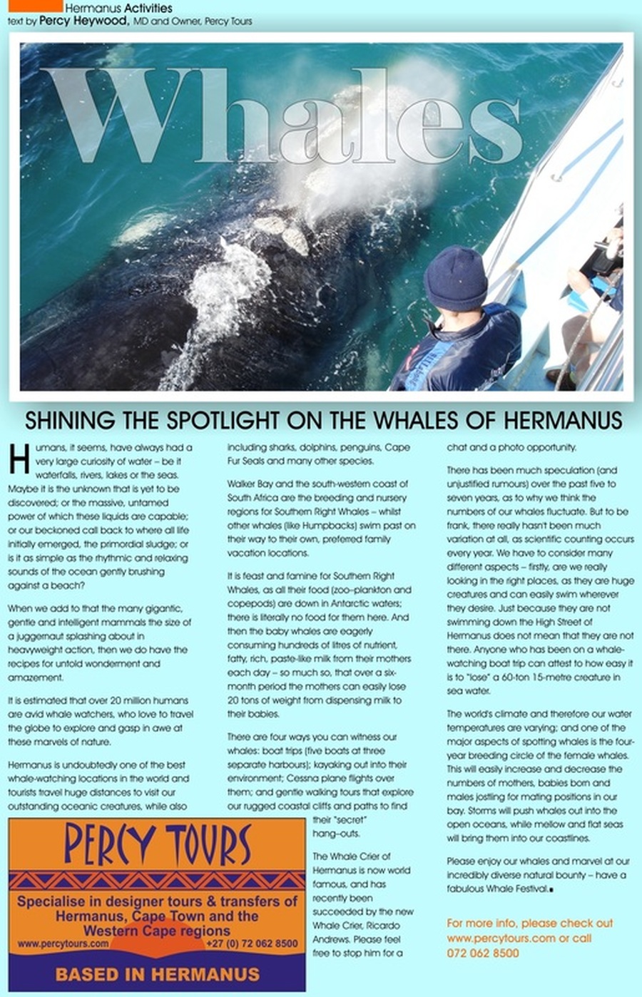 Whales and Whale Watching in Hermanus, South Africa