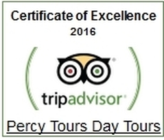 2016 TripAdvisor Award for Percy Tours Hermanus