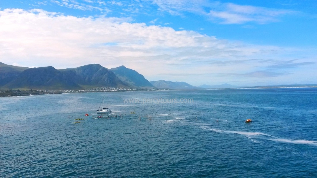 Boat Cruises, Kayaking, Paddle-Boarders and ocean trips in Hermanus, Walker Bay, South Africa