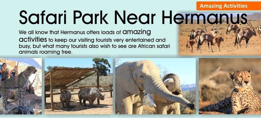 Safari park near Hermanus and Cape Town
