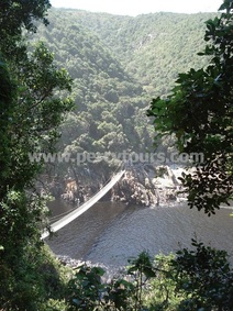 Storms River suspension bridge, Garden Route