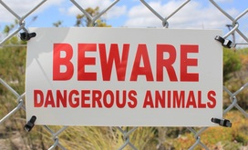 Beware Dangerous Animals, Hermanus