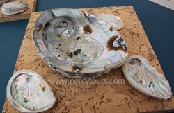 Abalone polished shells, Hermanus