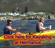 Kayaking, Hermanus
