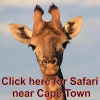 Safari parks near Cape Town