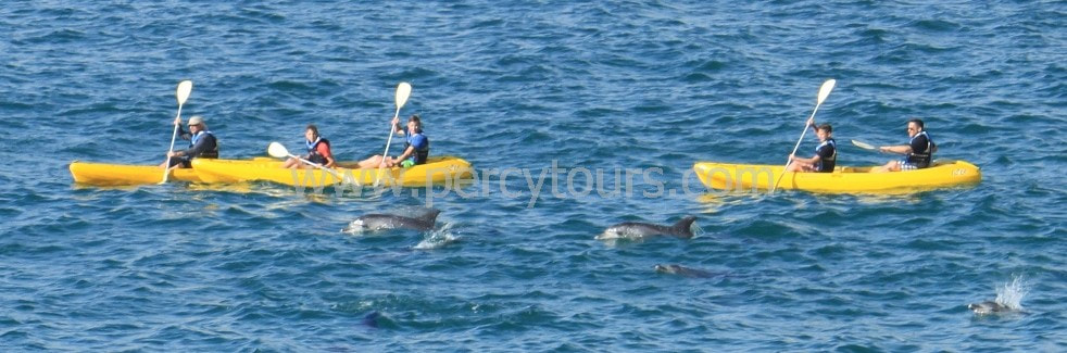 Kayaking on the ocean to explore Seals, Penguins and hopefully Dolphins and maybe Whales in Hermanus, Walker Bay, South Africa