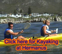 Kayak with the Whales of HermanusPicture