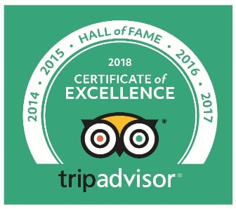 2018 Winner of Excellence by Percy Tours Hermanus on TripAdvisor