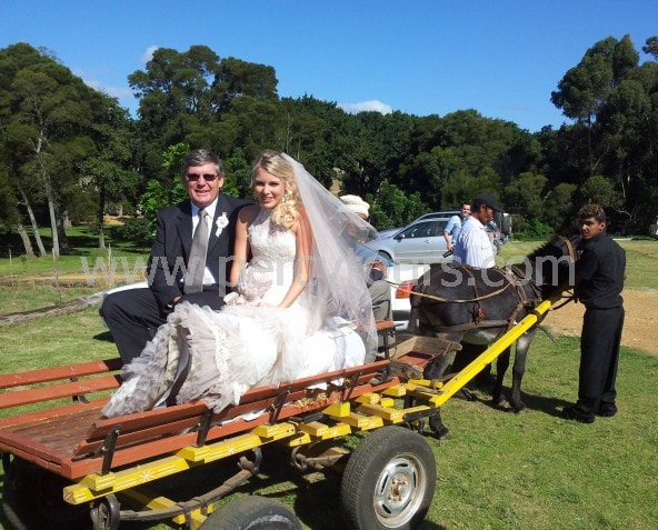 Wedding venues, Weddings in Hermanus, near Cape Town, South Africa