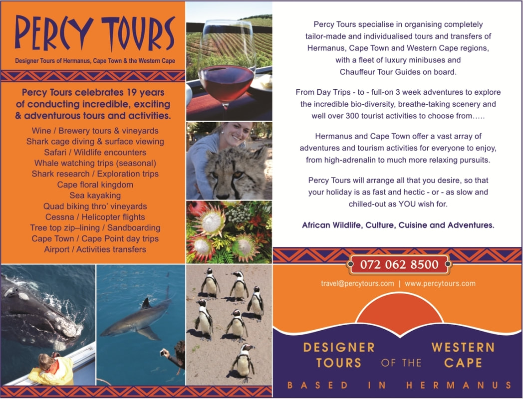 Percy Tours of Hermanus celebrated, in 2023, over 19 years of conducting tours, activities and adventures of Hermanus, Cape Town and the Western Cape, South Africa