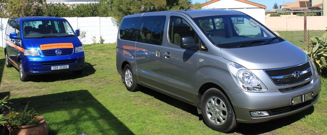 Luxury minibuses at Percy Tours, Hermanus