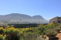 Hermanus wine valley, wineries, cellars, near Cape Town, South Africa