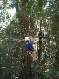 Tree Top Zip-lining, Storms River, Garden Route, Western Cape, South Africa