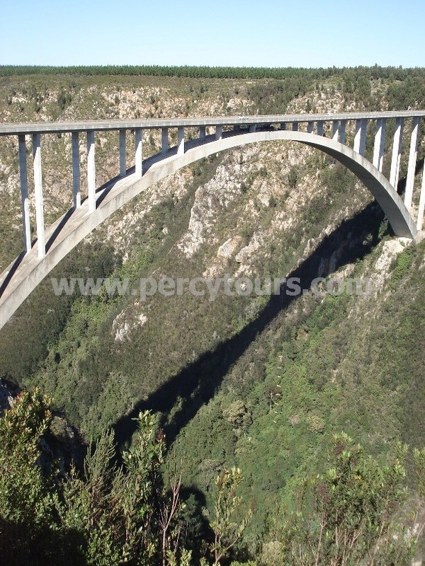 Bunjee jump bridge, Tsitsikamma, Garden Route, Western Cape, South Africa
