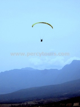 Paragliding flights over Hermanus