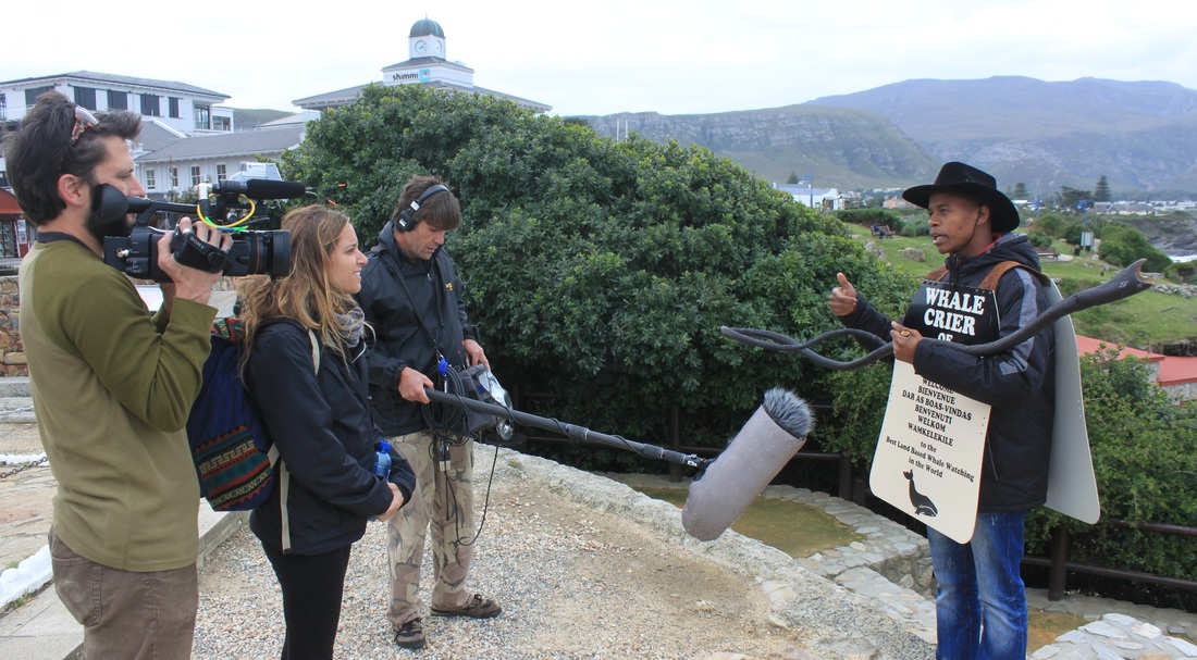 Travel Channel featured Hermanus as their number 18th BEST beach & surf location on the planet