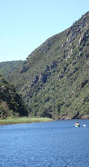 Keurboom River, Plettenberg Bay, Garden Route, Western Cape, South Africa