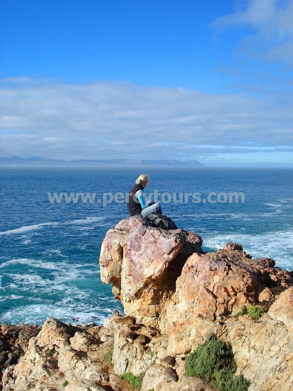Whale watching from the cliffs at Hermanus