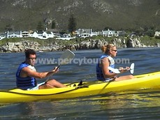 Sea Kayaking with the whales, Hermanus