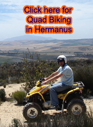 Quad Biking, Hermanus