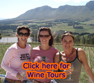 Wine Tours of Cape Town and Hermanus