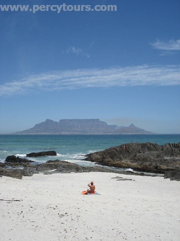 Cape Town Table Mountain from beach