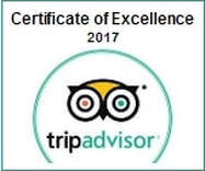 2017 Winner of Excellence by Percy Tours Hermanus on TripAdvisor