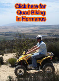 Quad Biking Hermanus