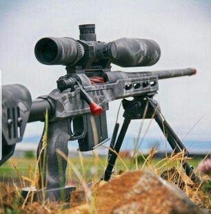 Snipers rifle at shooting range, near Hermanus