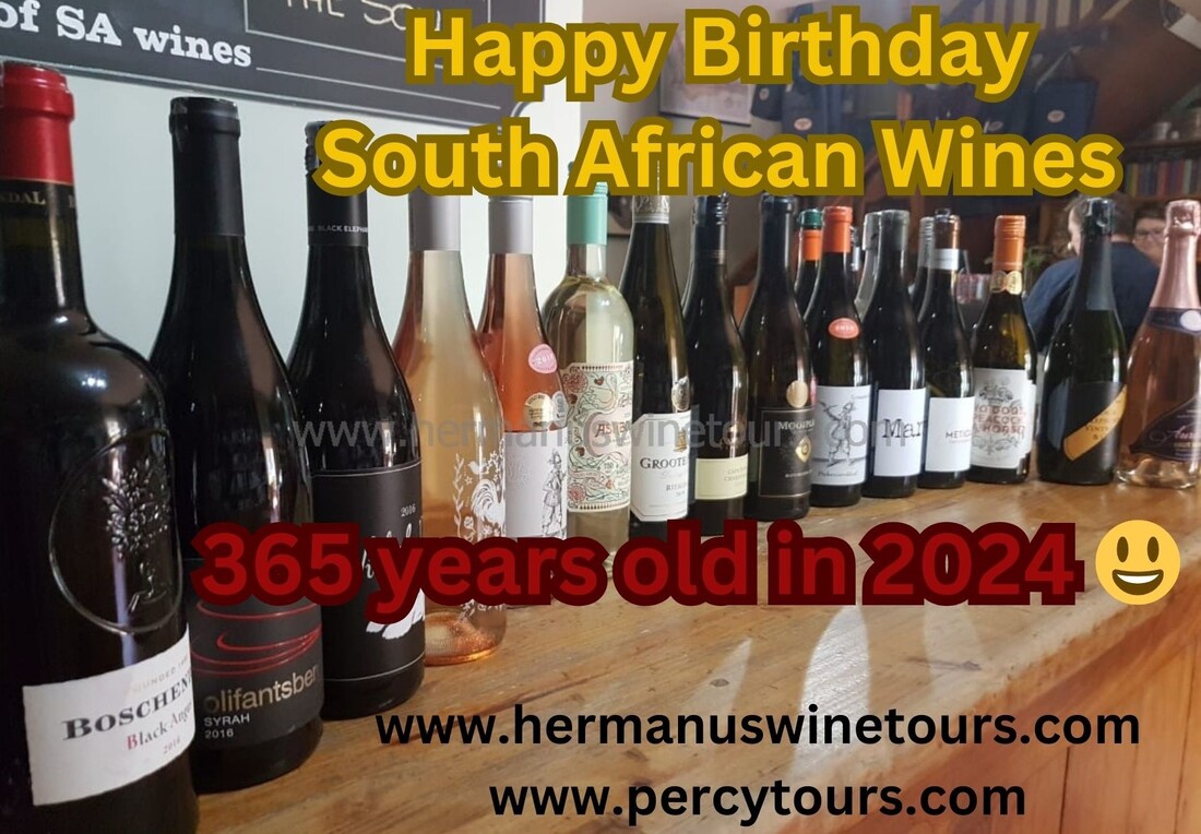 Wine Tours of Hermanus, Stellenbosch, Franschhoek and Cape Town with Percy Tours