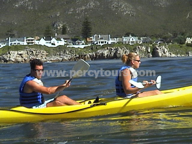 Kayaking with the whales, Hermanus, near Cape Town, South Africa