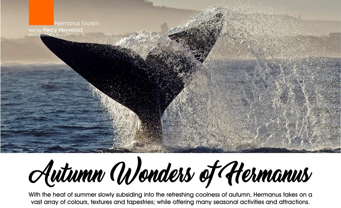 Whale Talk article by Percy Tours, Hermanus