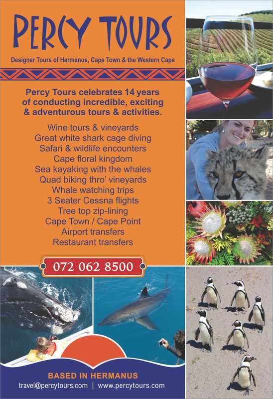 Percy Tours of Hermanus celebrates, in 2017, over 14 years of conducting tours, activities and adventures of Hermanus, Cape Town and the Western Cape