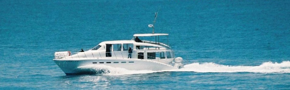 Luxury 70 person Catamaran Whale Watching boat trips cruise the sea & explore the incredibly scenic coast of Hermanus