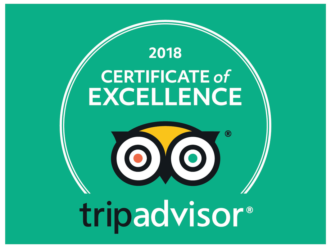 2018 Winners of Excellence on TripAdvisor for Percy Tours Hermanus