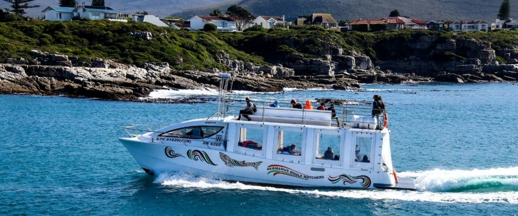 Hermanus Eco-Marine boat - trips from 1st December 2023 ... to ... 22nd Dec 2023