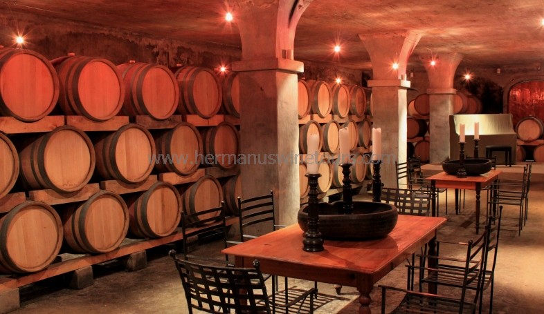 Oak wine barrel cellar, Bouchard Finlayson, winery, wine tours, Hermanus, near Cape Town, South Africa