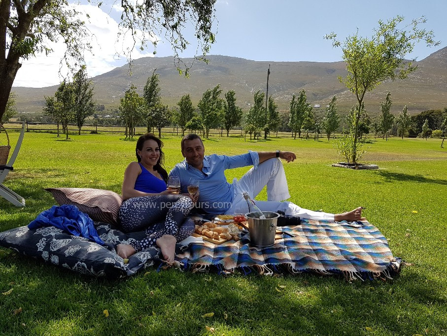 Wine Tours and picnics at fab wineries near Hermanus, South Africa