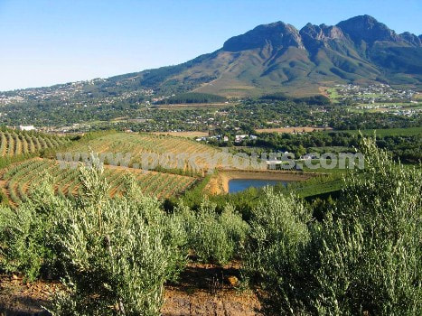Wineries, Wine Tours, Somerset West, South Africa